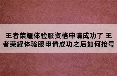 王者荣耀体验服资格申请成功了 王者荣耀体验服申请成功之后如何抢号